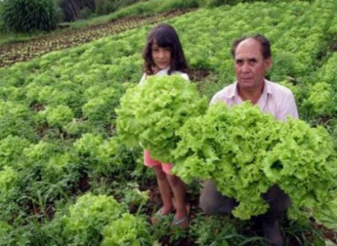 Evolução da Alimentação Escolar na BP3 Assessoria às Cooperativas e