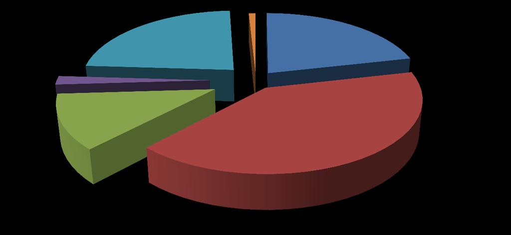 Gráfico 07 - Principais produtos exportados pelo agronegócio de  Milho; 0,82%