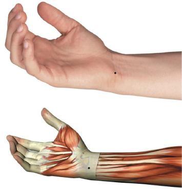 C-7 (SHENMEN) : PORTA DO ESPÍRITO Localização: No punho, na pequena depressão na extremidade ulnar do espaço anterior da articulação da mão, no punho, quando a mão está em posição supina, radialmente