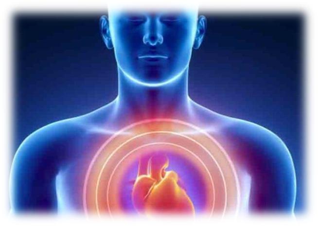 C-7 (SHENMEN) : indicações do uso Taquicardia, dor cardíaca, doença cardíaca,