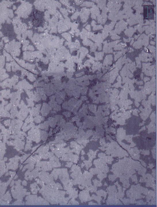 Figura 57 Micrografia da propagação de trinca na pastilha sinterizada a 1500ºC, após ensaio de dureza Vickers.