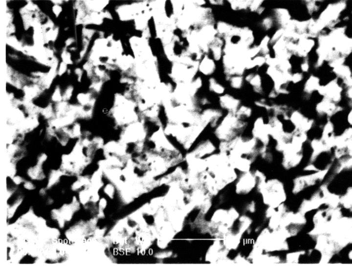 Figura 59 Micrografia eletrônica de varredura da