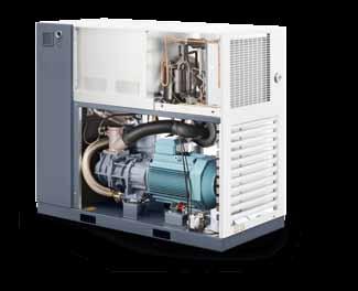 Especificações técnicas do GA 30 + -90 (versões de 50 Hz) TIPO de compressor Variante de pressão Pressão de trabalho máx.