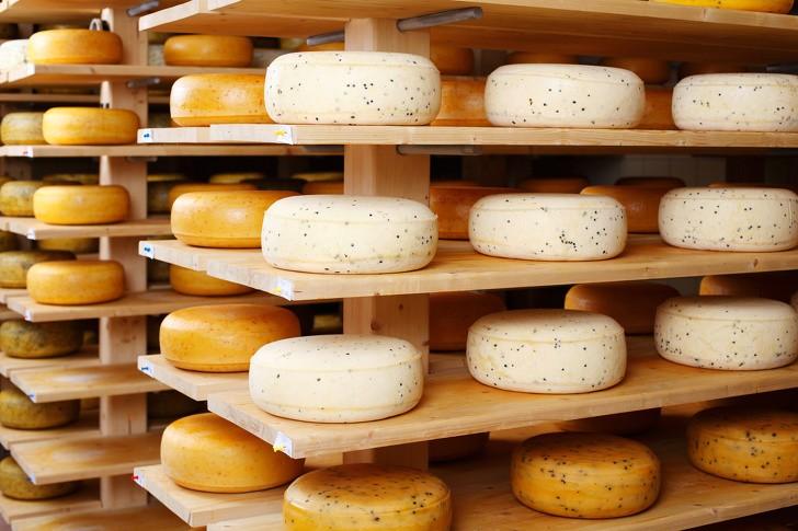 Aprenda mais sobre queijos e como escolher os melhores Você sabia que o queijo apareceu antes da escrita? E, desde então, milhões de pessoas em todo o mundo não conseguem imaginar suas vidas sem ele.