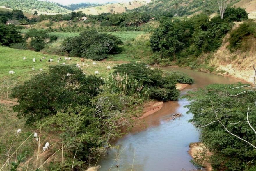 produtividade e área cultivada, acompanhada pelo uso intenso