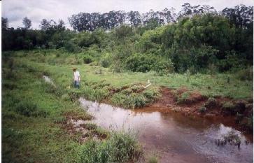 Local de estudo Córrego Água Preta (S5): Localizado entre