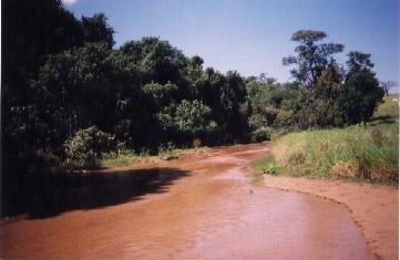 Local de estudo Ribeirão do Monjolinho