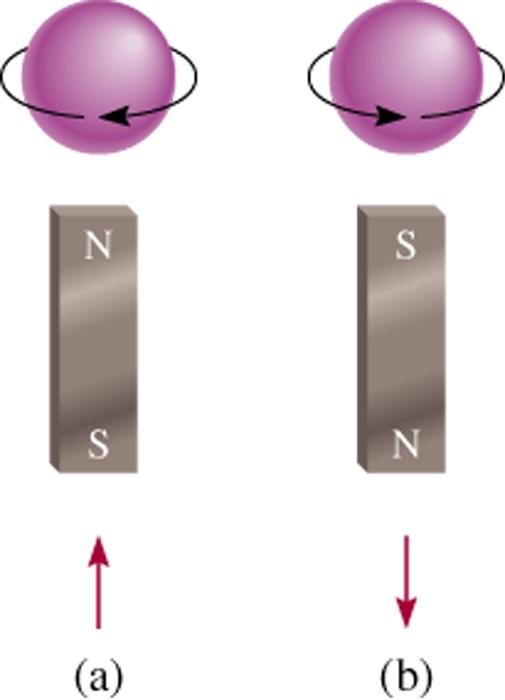 l, m s ) m s número quântico