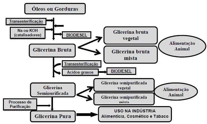 Esquema do processo