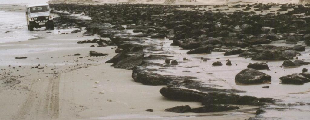 Sob um ponto de vista científico, a região apresenta-se como um laboratório natural para o estudo dos processos governantes da dinâmica das ondas e também da dinâmica sedimentar da zona costeira.