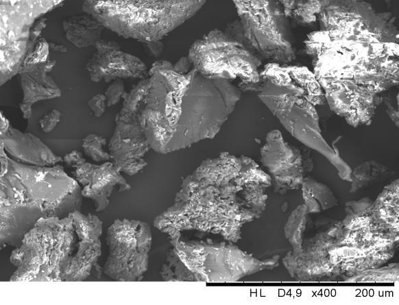 34 Figura 8 Micrografia de micropartículas de A. R. TMFS obtida por MEV (400x).