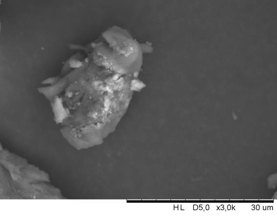 Figura 10 Micrografia de micropartículas de A. R. TPFS obtida por MEV (400x).