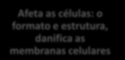 Segurança no Trabalho e alguns fatores de risco relacionados com os nanomateriais no local de trabalho.