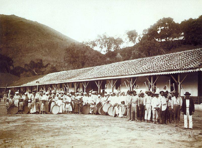 Imagem: Marc Ferrez / Escravos numa fazenda de café no Brasil, c.1885 / Lago, Bia Corrêa do.