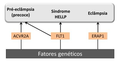 Figura 2 Fisiopatologia da pré-eclâmpsia: isquemia placentária e disfunção endotelial.