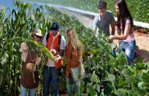 Carreira 450 - Curso 23 Nome do Curso Engenharia Agronômica - Piracicaba - Duração: 10 semestres Unidade que abriga o curso Escola Superior de Agricultura Luiz de Queiroz - Piracicaba - USP Carreira