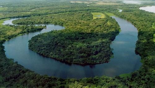 CONSERVAÇÃO AMBIENTAL CONSERVAÇÃO Conservação é a utilização racional de um recurso qualquer, de modo a se