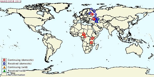 Peste suína africana