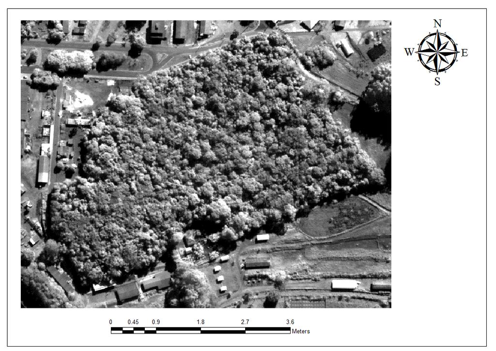 Federal de Lavras, onde sua vegetação é classificada como Floresta Estacional Semidecidual Montana (floresta tropical subcaducifolia) com dossel emergente (Fme) de acordo com o sistema de