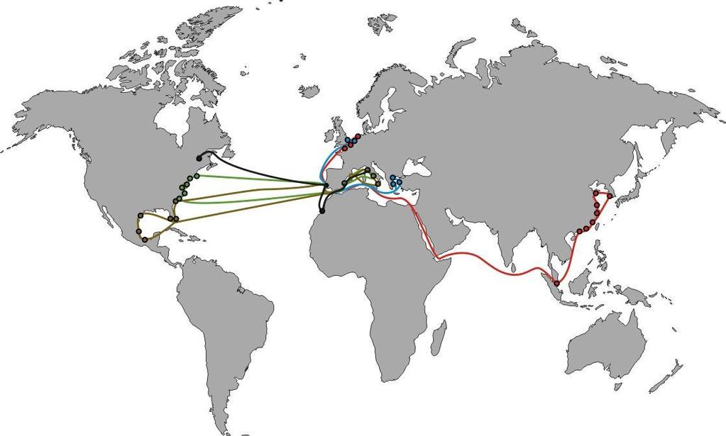 Porto HUB: linhas directas a mercados remotos USNAT SERVICE Nápoles, La Spezia, Valência SINES, Boston, New York, Baltimore, Norfolk, Savannah, Charleston US GULF SERVICE Gioa Tauro, Nápoles, La