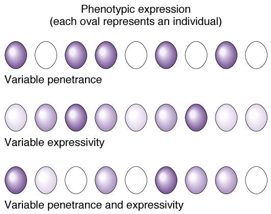 Penetrância e expressividade variável Penetrância incompleta Expressividade