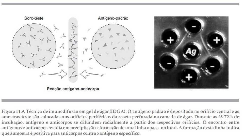 Metodologia Questions & feedback?