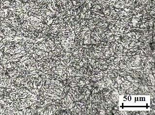 71 A seguir apresentamos o aspecto micrográfico do aço estrutural R4 na condição 02 (temperatura de