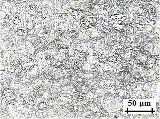 75 A seguir apresentamos o aspecto micrográfico do aço estrutural R4 na condição 04 (temperatura de
