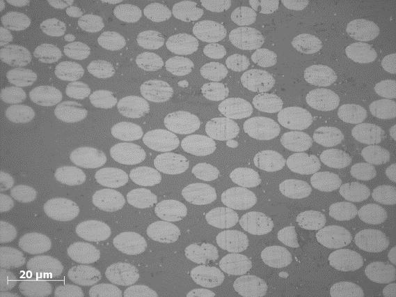 Podem ainda ser observados alguns arranhões devido ao procedimento de preparação, mas as bordas das fibras estão bem delineadas e há um bom contraste entre a matriz e as fibras.