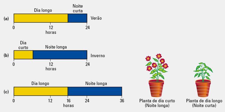 Interpretação