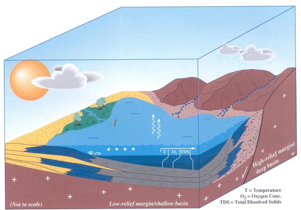 Balanço entre afluxo de sedimento e de água e tectónica = Acomodação Arquitectura das unidades litorais varia entre progradação le agradação Mistura de materiais siliciclásticos