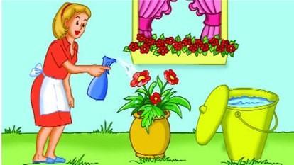 Se tem plantas em casa, procure armazenar a água da chuva