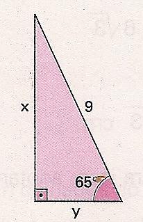 7) No triângulo retângulo determine as