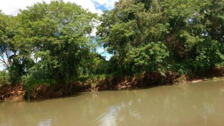 Na descida em direção à cidade, o Rio Uberabinha percorre áreas de lavouras, pastagens e reflorestamento.