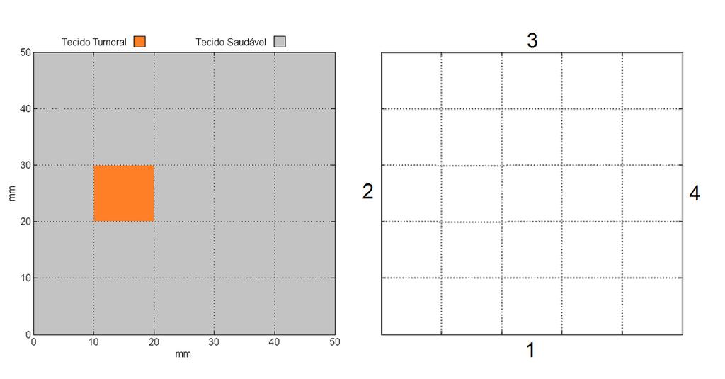Figura 2: Representação do domínio de simulação. Tabela 1: Parâmetros do Modelo Símbolo Unidade Tecido Saudável Tecido Tumoral c - c b (J/KgK) 4000 4000 k (W/mK) 0.51 0.56 k b (W/mK) 0.64 0.