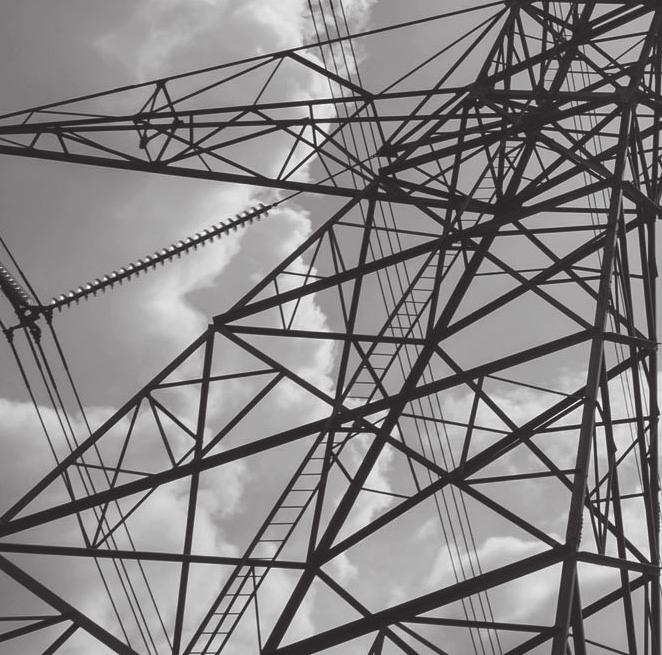 Orientação a empresas nacionais e estrangeiras sobre as condições e restrições para atuação no setor elétrico.