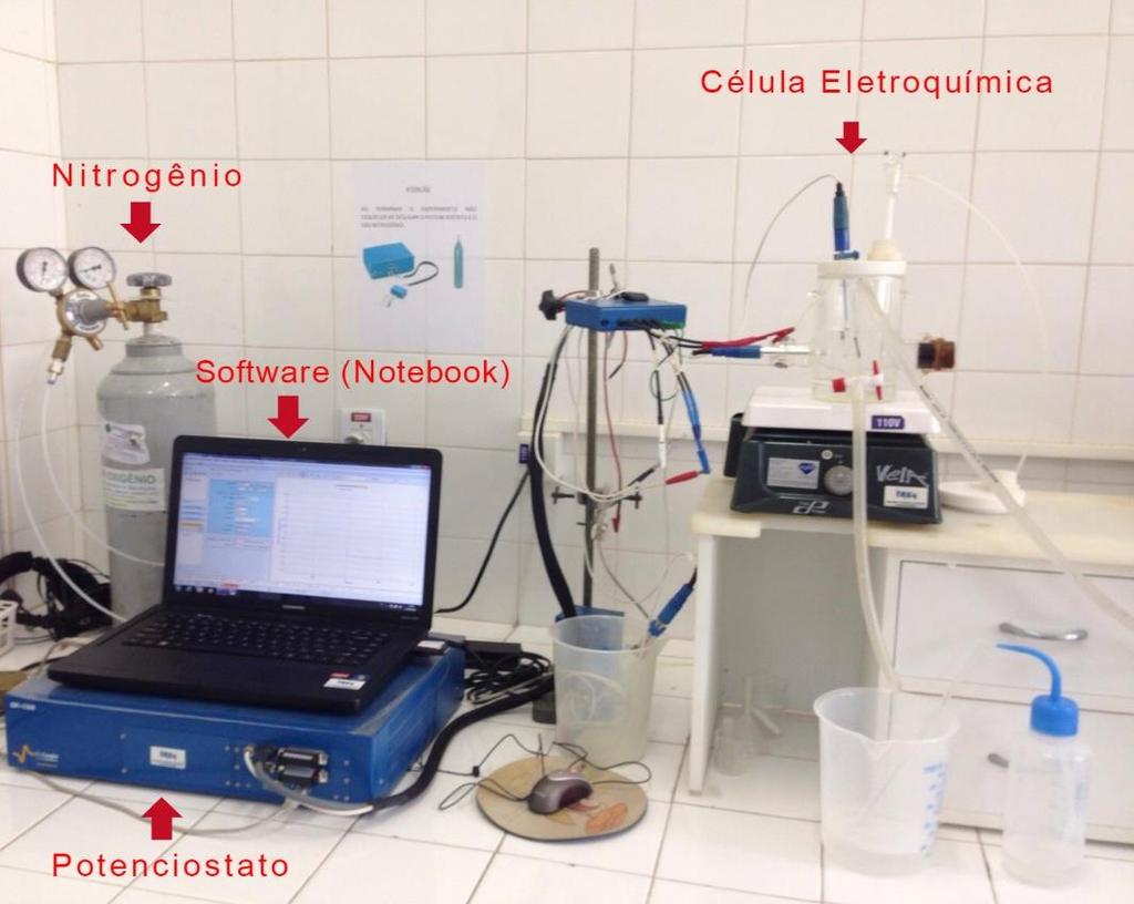 Em seguida, fez-se o levantamento da curva do potencial Ewe em relação a tempo (método da cronopotenciometria) para a solução isenta de íons contaminantes, com o objetivo de obter o potencial de