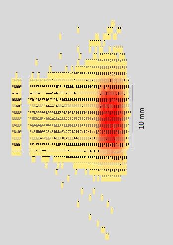 Figura 35: Recorte da matriz gerada para a simulação de 95 a 104 MeV no programa de processamento de dados em próton terapia simulada. Fonte: Autoria própria.
