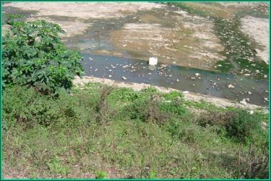 RESÍDUOS SÓLIDOS NA DRENAGEM URBANA Causas: Tipo de uso e ocupação do solo; - Ocupação subnormal.