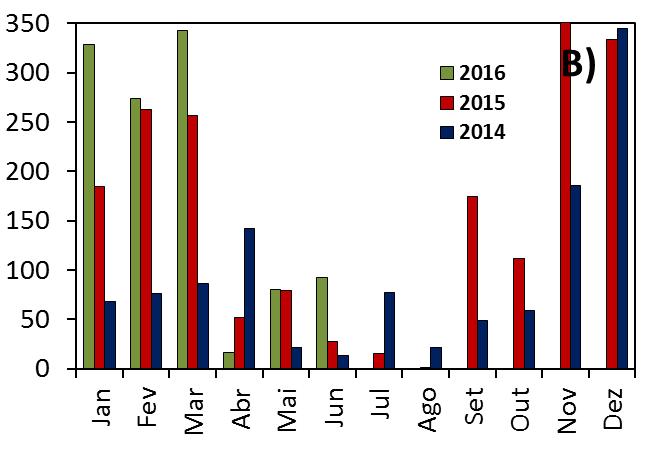 Figura 3: Precipitação pluviométrica média mensal (mm) do período de 1974-1985, 2006-2013 (A) e dos anos de 2014, 2015 e 2016 (B) para a região do Sul de Minas, Muzambinho, MG.