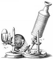 gravura de seu livro Micrographia O microscópio eletrônico supera essa dificuldade,