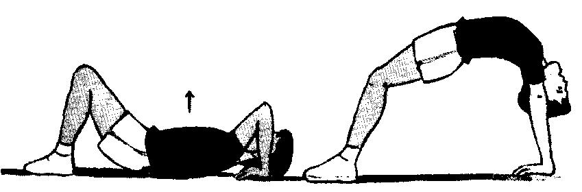GINÁSTICA NO SOLO Ponte (posição de flexibilidade) - extensão dos membros superiores; - extensão dos membros inferiores; - cabeça acompanha