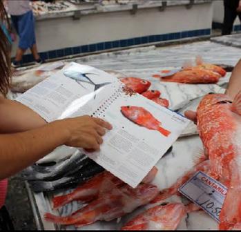 o mar. A sessão começa com um video explicativo. Nas bancas do Mercado, os alunos aprendem sobre a história de vida dos peixes (porque têm a barriga clara e o dorso escuro?