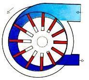 Compressores Volumétricos Compressor Rotativo de Palheta Possui um