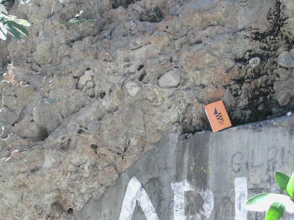 42 Foto 2: Unidade Mato Verde. Rocha ácida em contato com conglomerado, localizada na cachoeira do Serrado, município de Porteirinha, mostrando megaclastos de quartzo e quartzito.