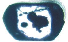 A B C D 0,1 mm E 0,1 mm F 0,1 mm 0,1 mm 0,1 mm 0,1 mm Figura 11: Variedades de zircões encontrados nas frações de minerais pesados do grupo de