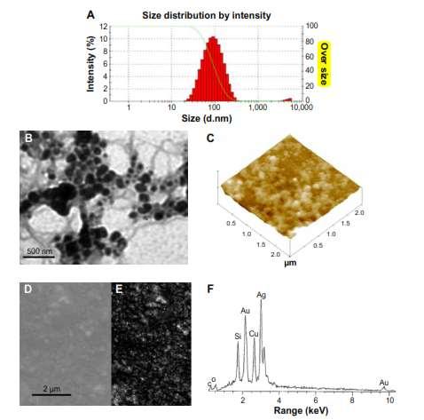 Caracterização das nanopartículas Particle sze (A) TEM image (B) AFM height image