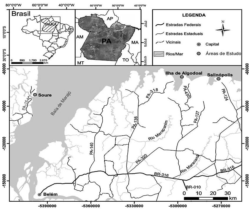Composição e estrutura florística em bosques de manguezais paraenses, Brasil 925 e Salinópolis (Figura 1).