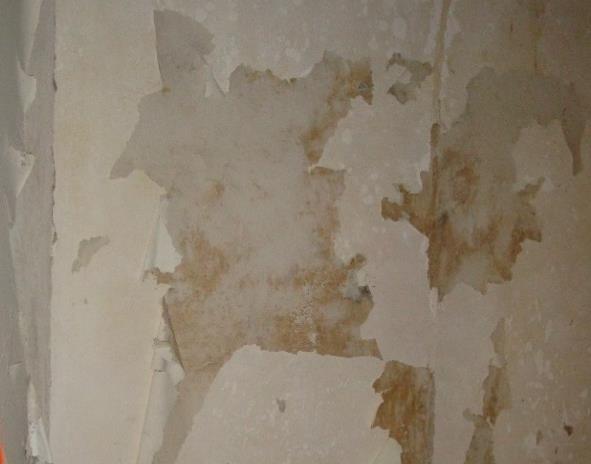49: Manchas e bolores presentes em paredes interiores Descasque de tinta/reboco Breve descrição: a