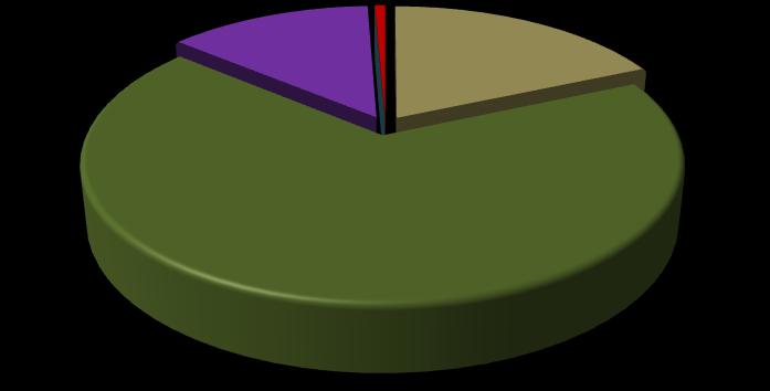 Gráfico 11 Distribuição dos alunos por modalidade ensino em Chapadão do Lajeado - 2007 0,0% 0,7% 0,0% 13,3% 0,0% 18,4% Creche Pré-escola Ensino Fundamental Ensino Médio Educação Profissional (Nível